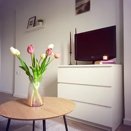 Bright And Modern Studio Near City Center Zagreb